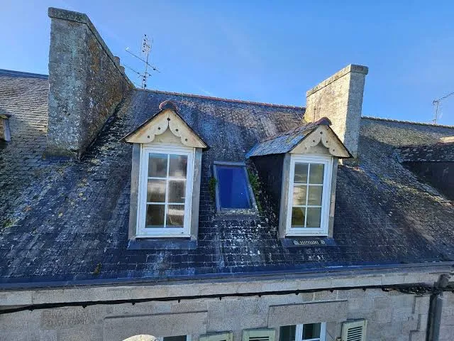 Toiture ardoise bretonne envahie par la mousse et le lichen